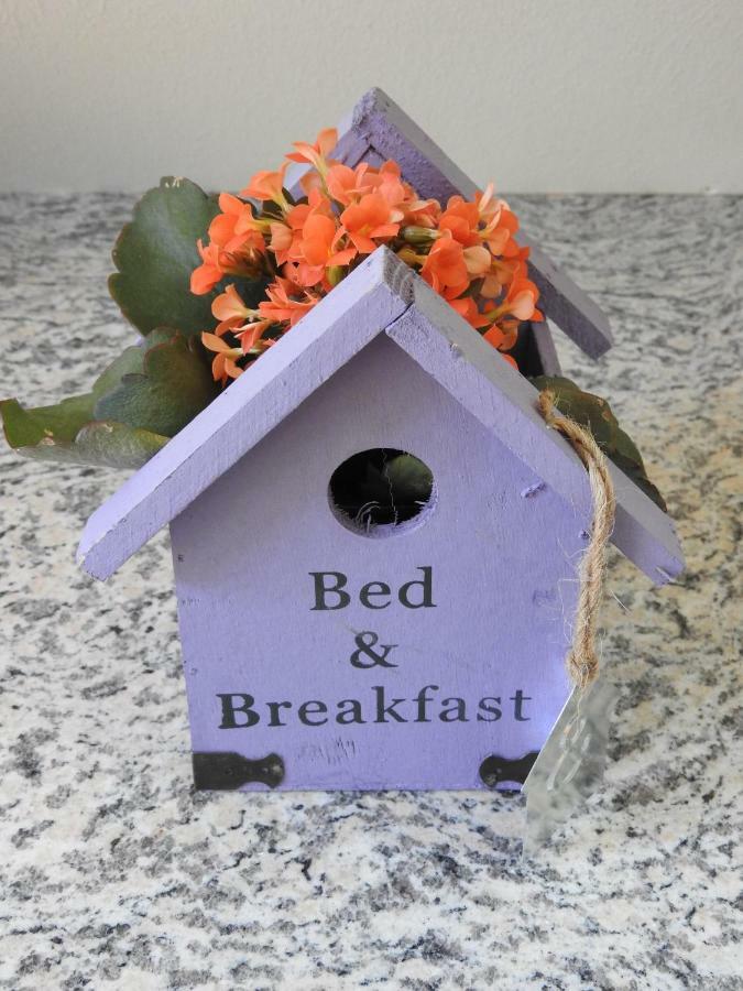 Hallerndorf Sweet Home Suite מראה חיצוני תמונה